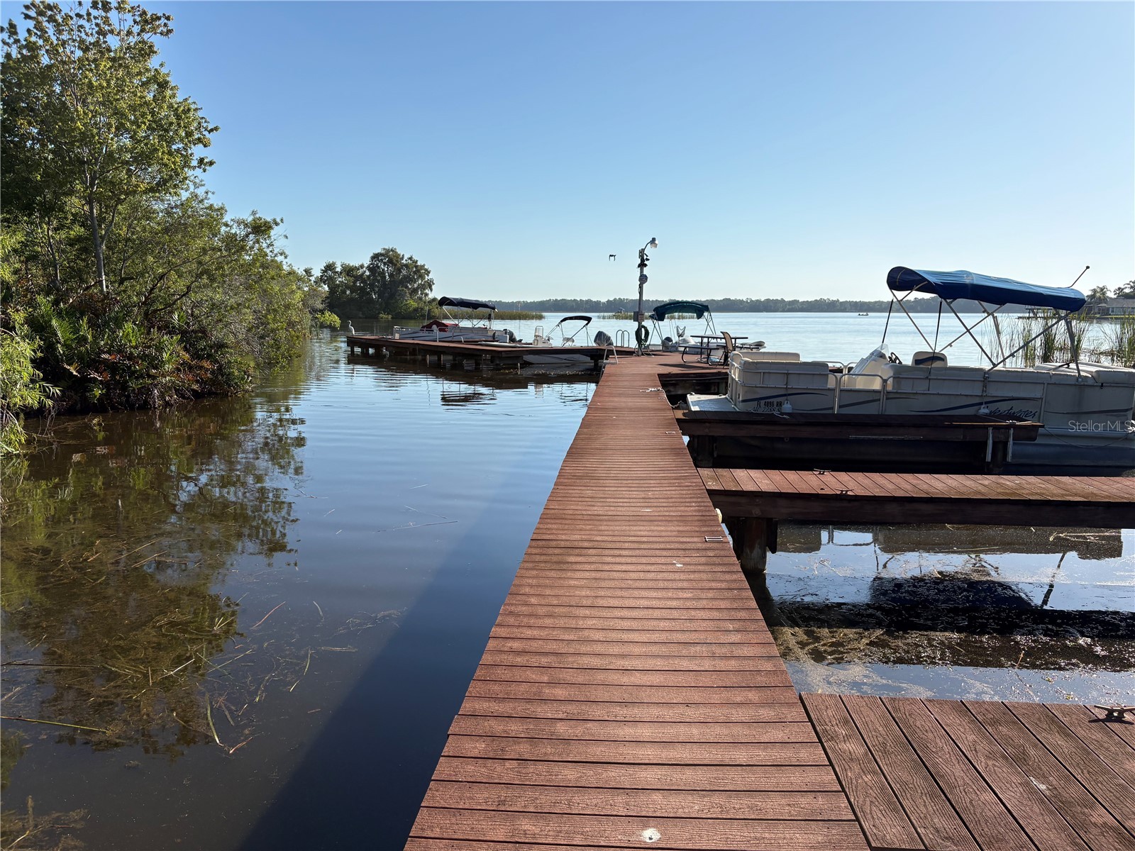 2511 2511 Dolly Bay Drive #102 Palm Harbor FL 34684 OM723041 image8