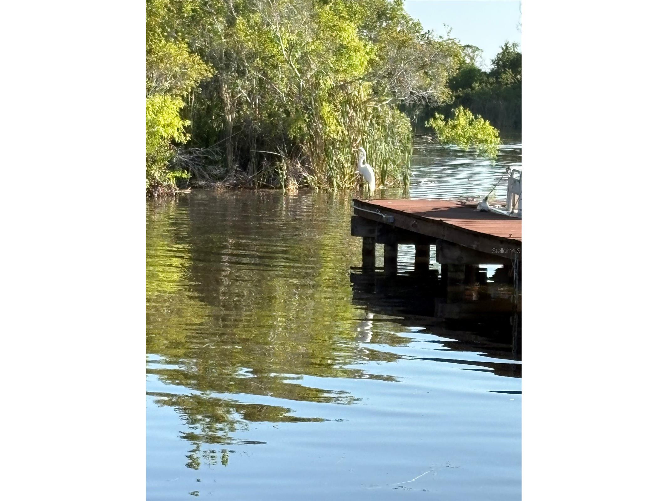 2511 2511 Dolly Bay Drive #102 Palm Harbor FL 34684 OM723041 image9