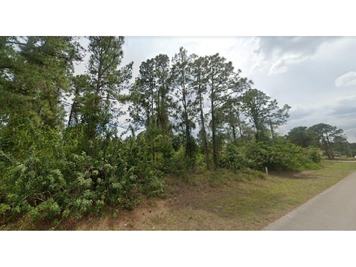 2511 45th Street W Lehigh Acres FL 33971 O6072947 image1