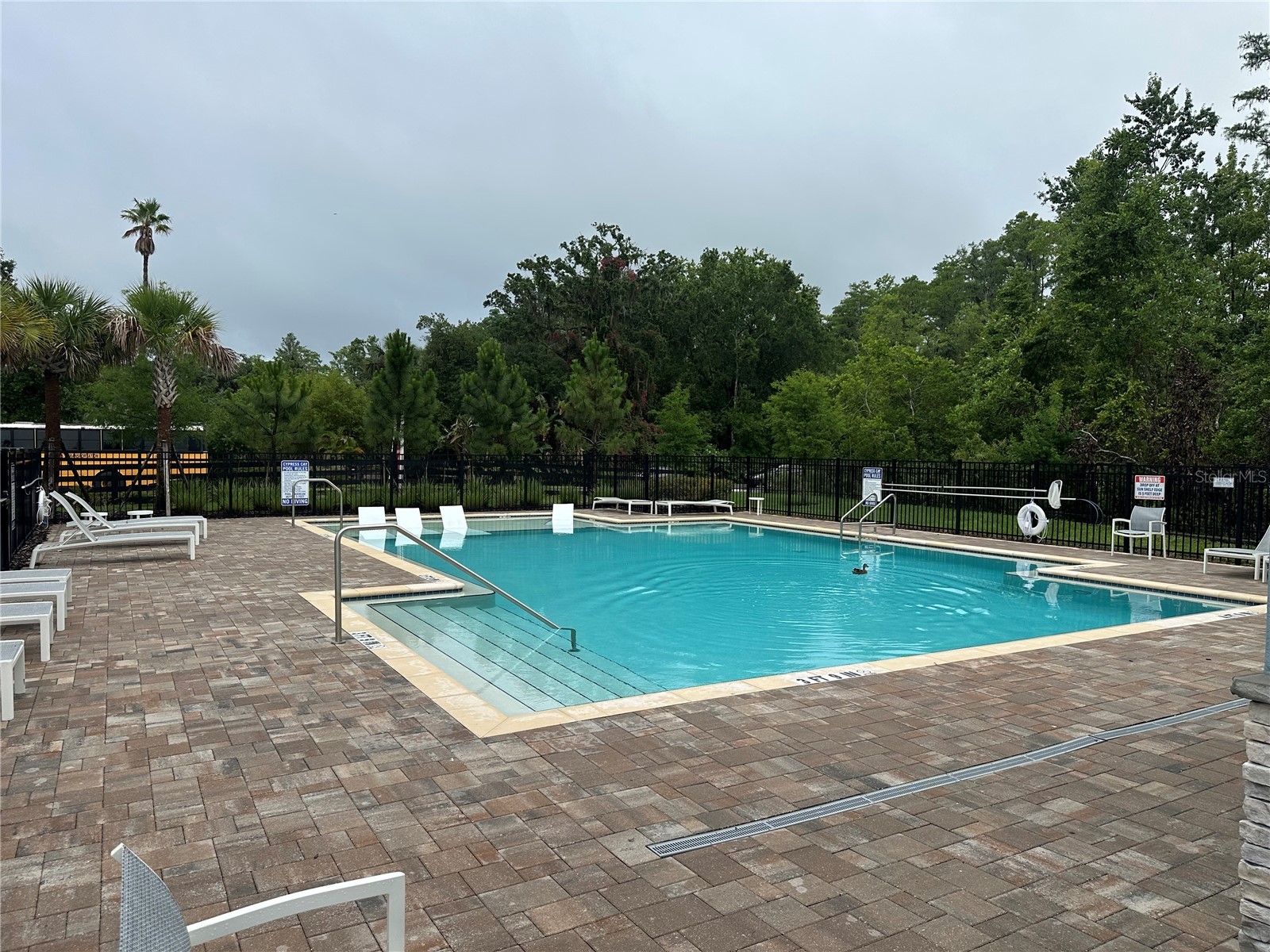 2511 Bright Jewel Street Kissimmee FL 34746 S5148888 image5