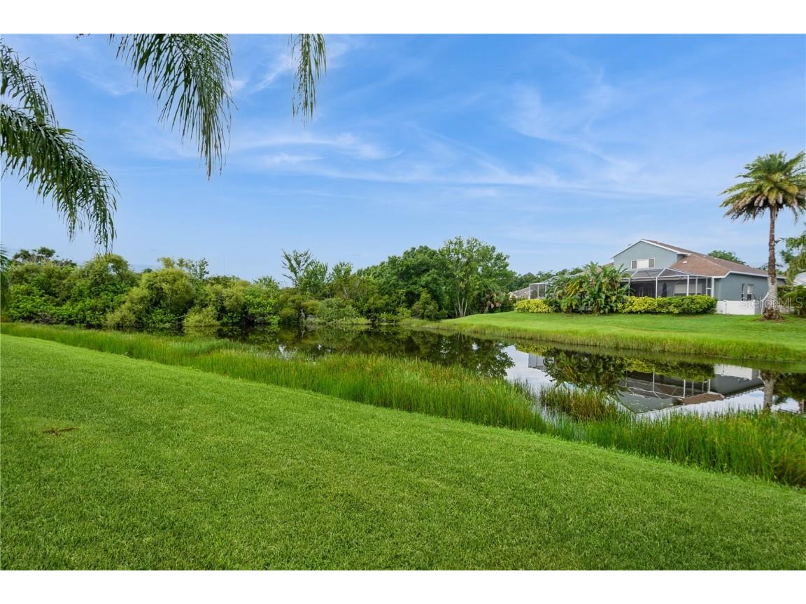 2511 Indian Key Drive Holiday FL 34691 TB8392550 image38