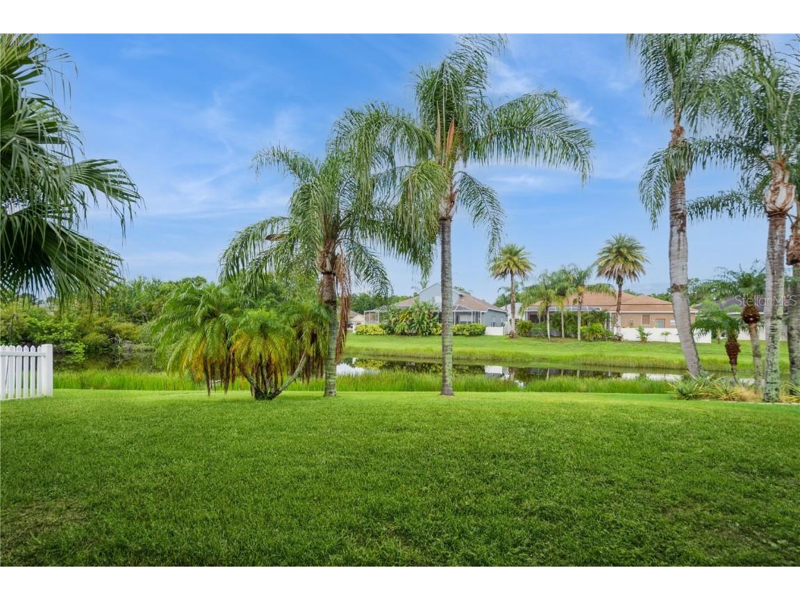 2511 Indian Key Drive Holiday FL 34691 TB8392550 image39