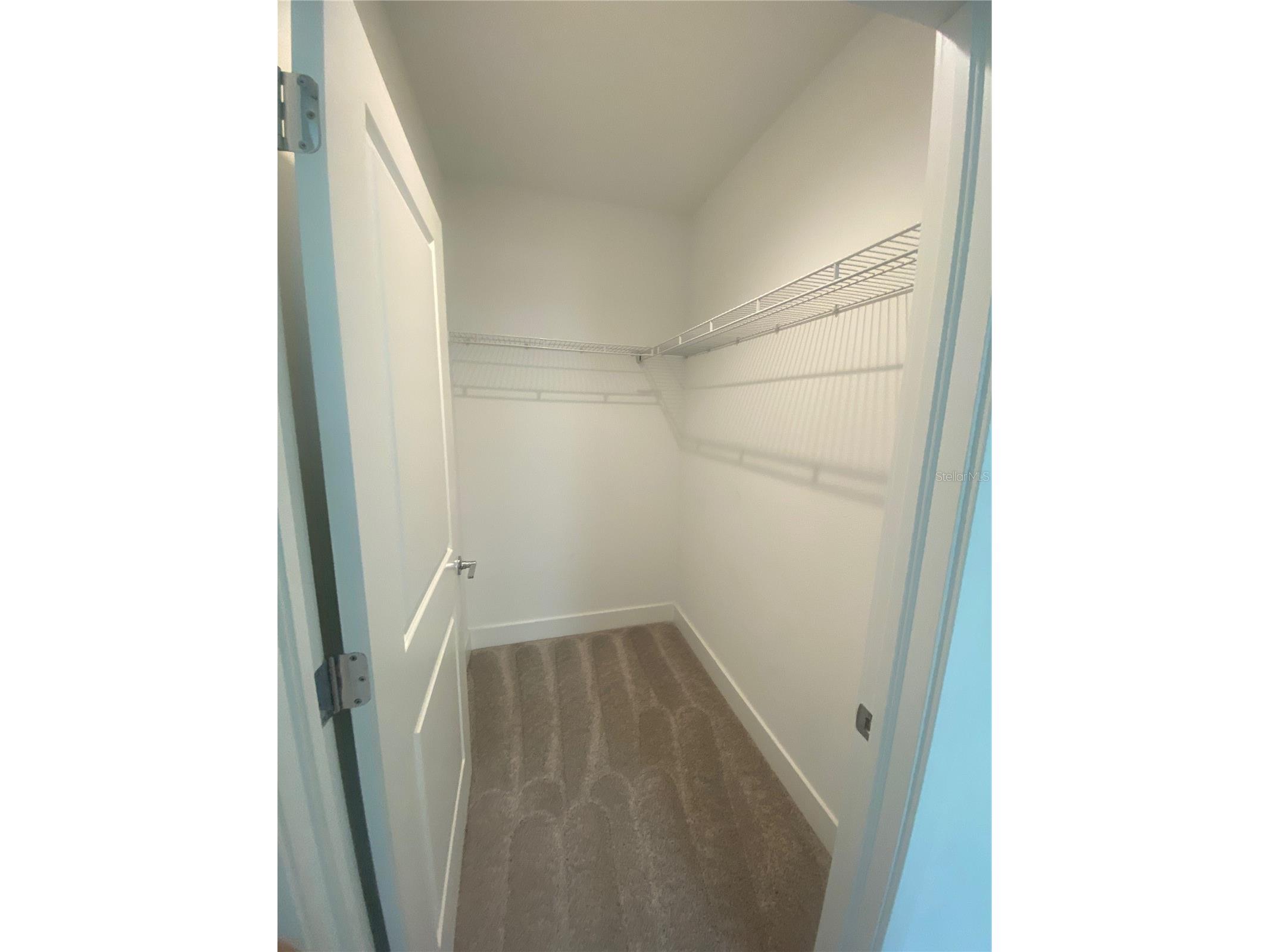 2511 N Grady Ave #5 Tampa FL 33607 TB8507049 image28
