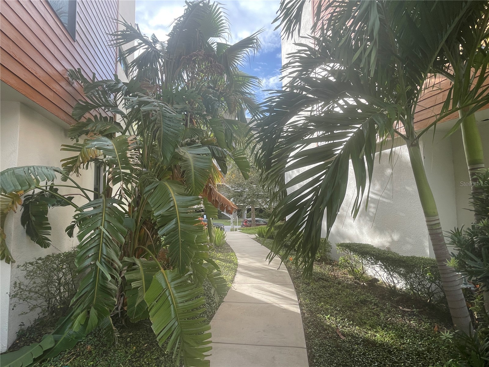 2511 N Grady Ave #5 Tampa FL 33607 TB8507049 image57