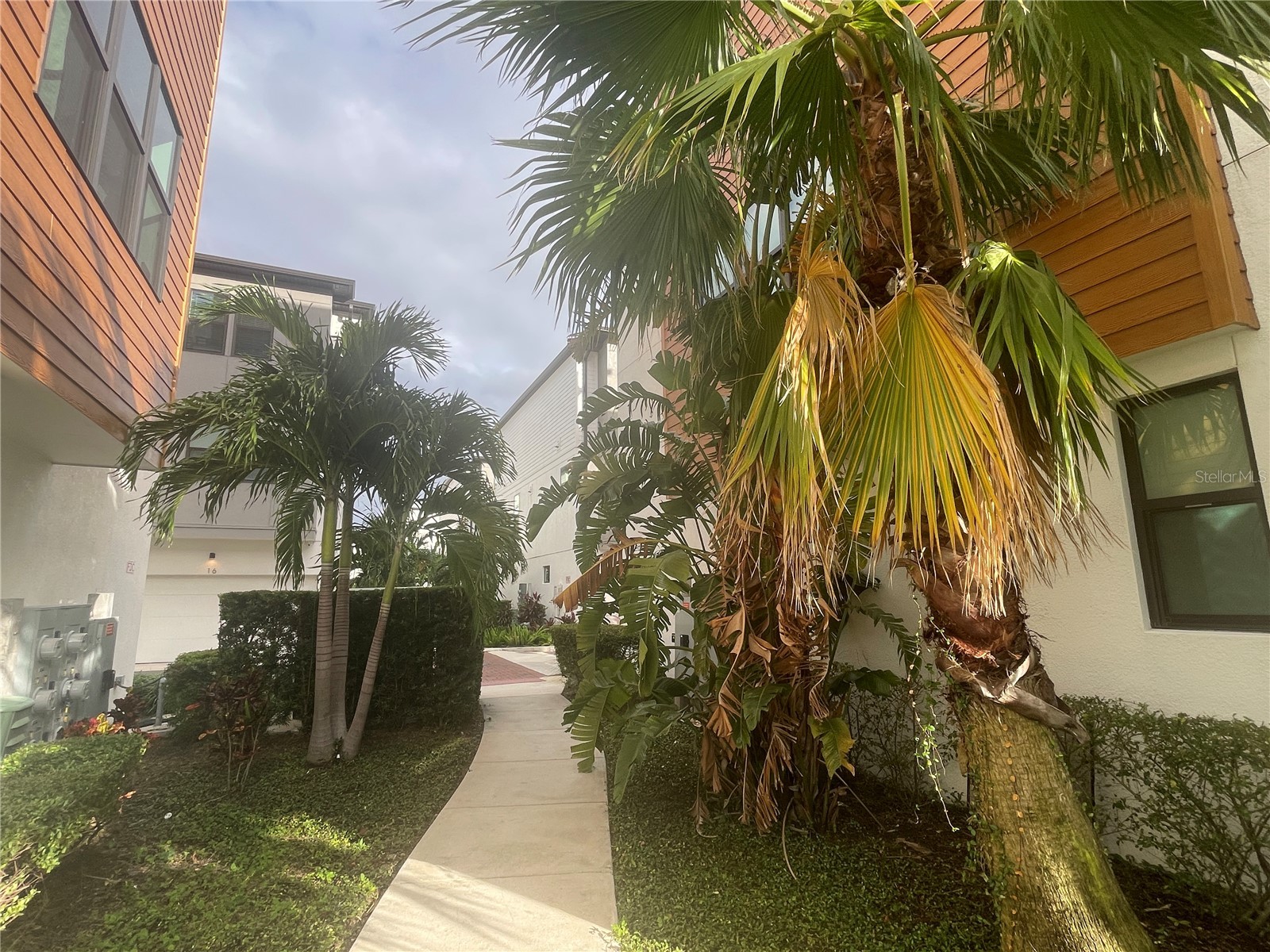 2511 N Grady Ave #5 Tampa FL 33607 TB8507049 image58