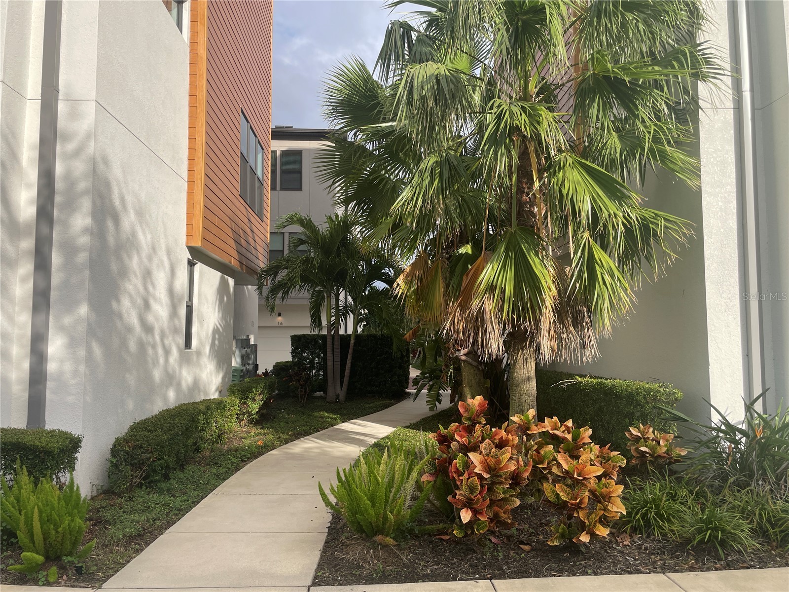 2511 N Grady Ave #5 Tampa FL 33607 TB8507049 image59