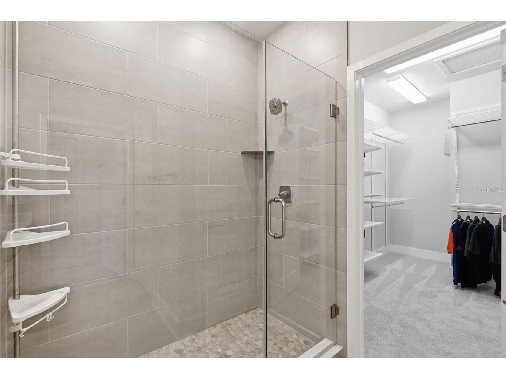2511 N Grady Avenue #23 Tampa FL 33607 TB8527185 image28