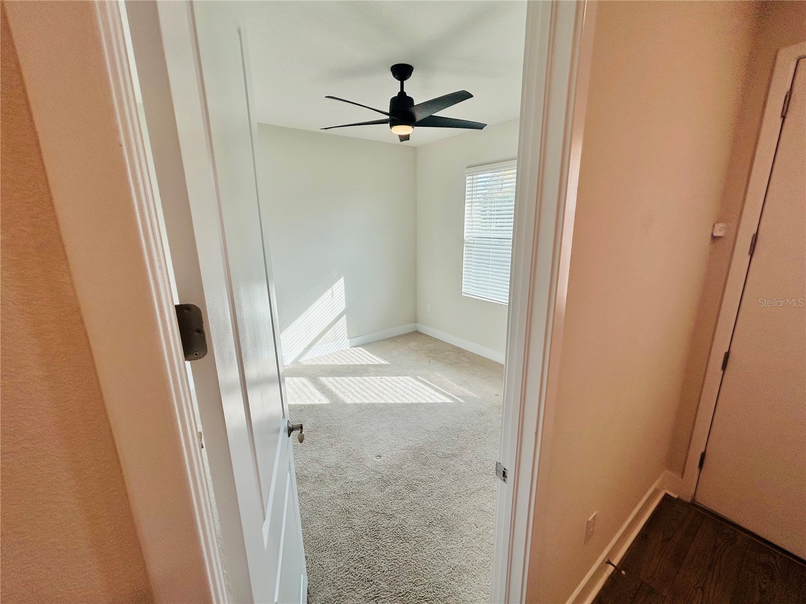 2511 N Grady Avenue #34 Tampa FL 33607 TB8457407 image45