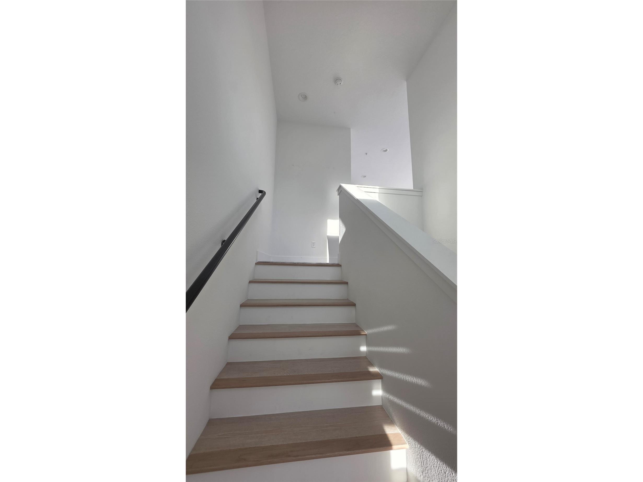 2511 N Grady Avenue #6 Tampa FL 33607 R4910864 image29