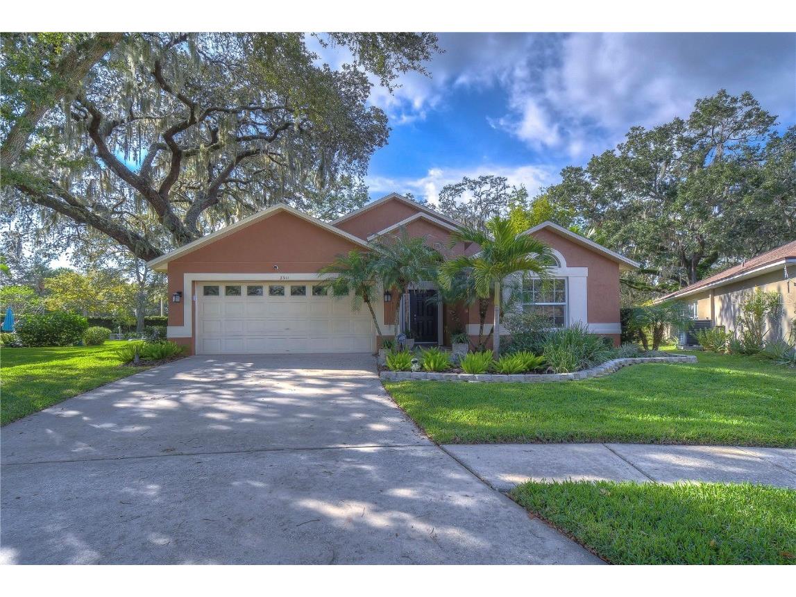 2511 Siena Way Valrico FL 33596 T3493648 image1