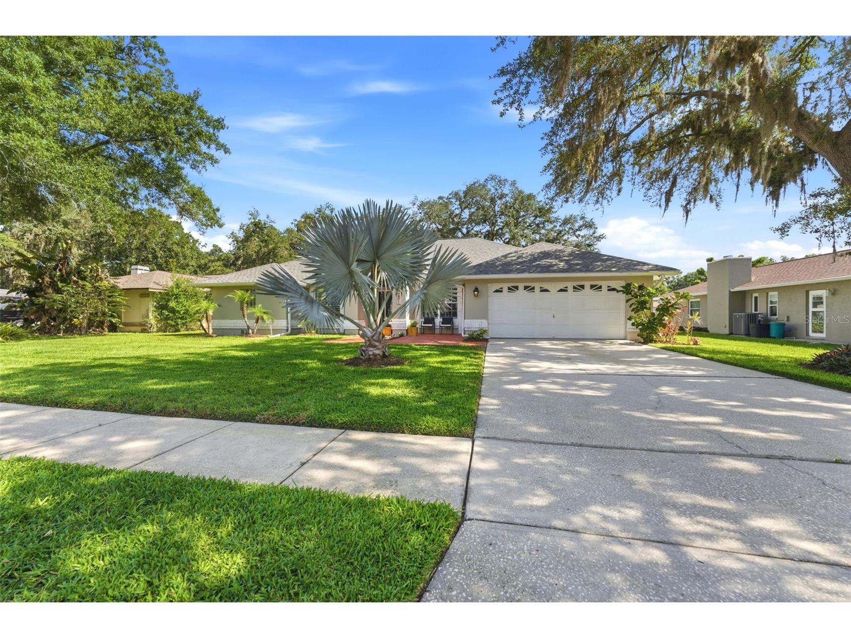 2511 Viny Court Tampa FL 33618 TB8513663 image3