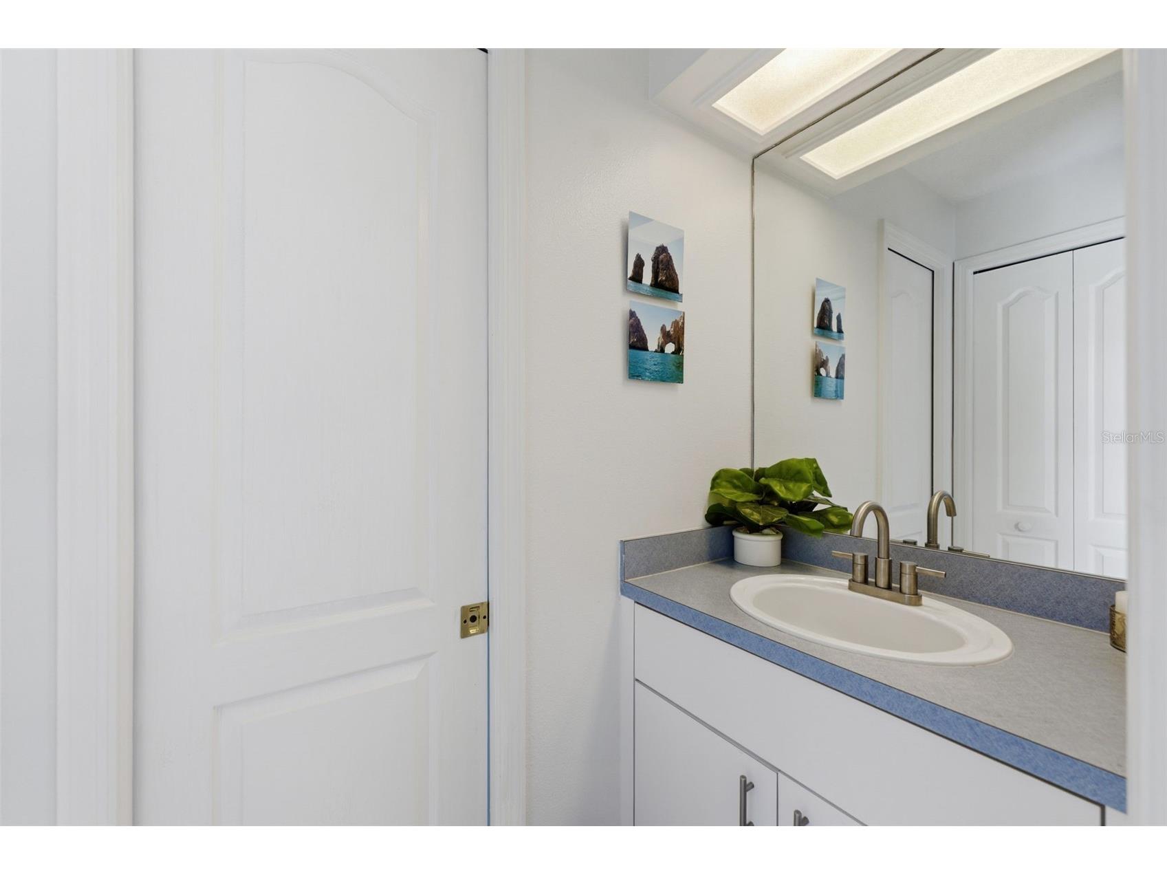 2511 Viny Court Tampa FL 33618 TB8513663 image44