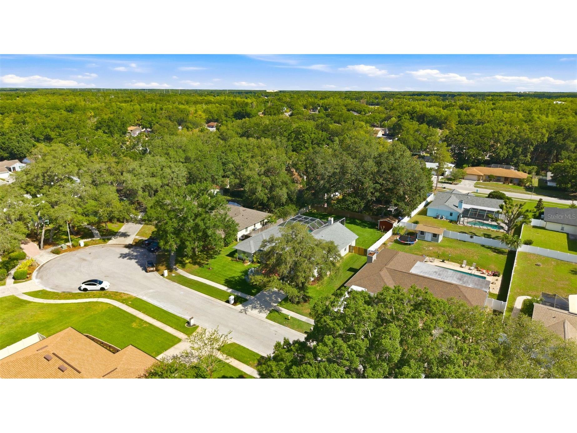 2511 Viny Court Tampa FL 33618 TB8513663 image51