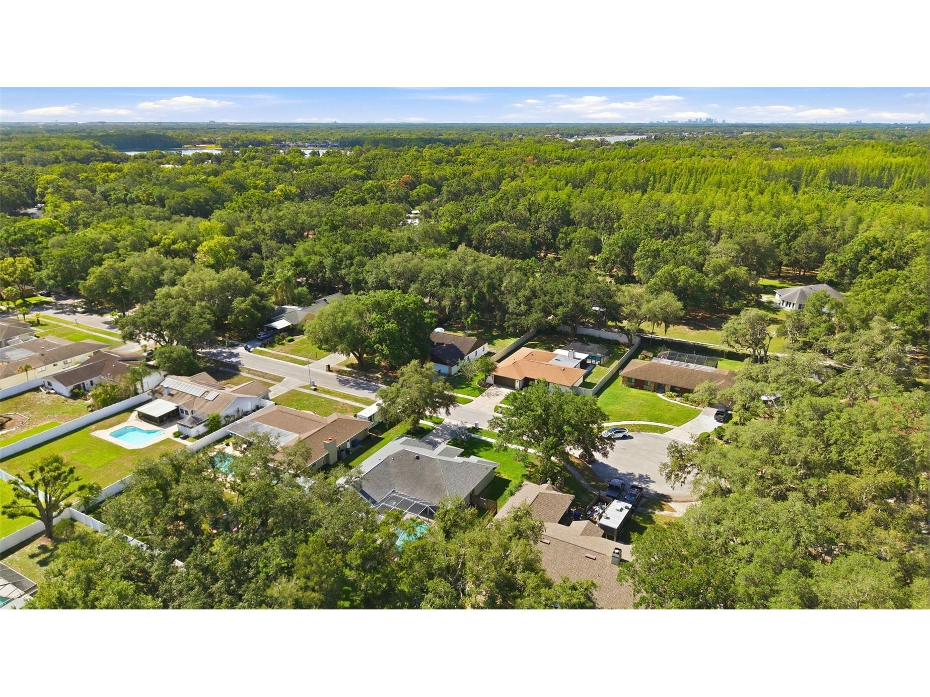 2511 Viny Court Tampa FL 33618 TB8513663 image53