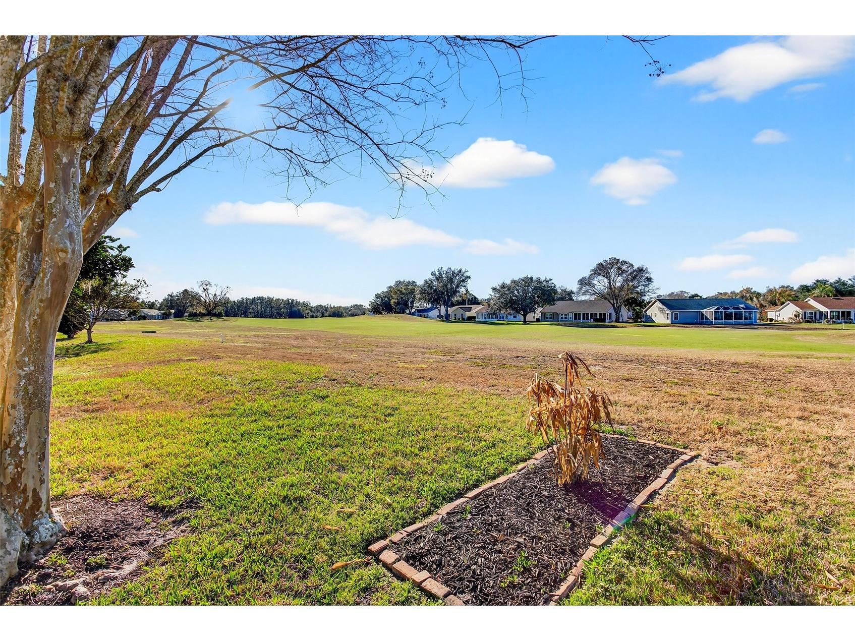 25113 Riverwalk Drive Leesburg FL 34748 G5108788 image35
