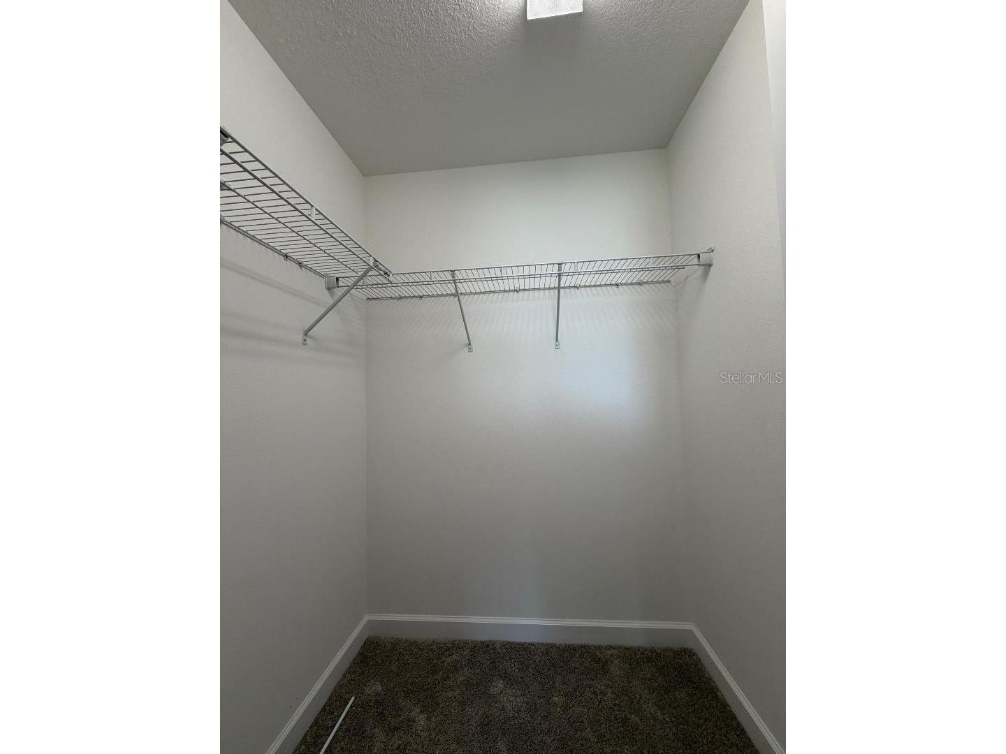 25118 Lambrusco Loop Lutz FL 33559 TB8473036 image14