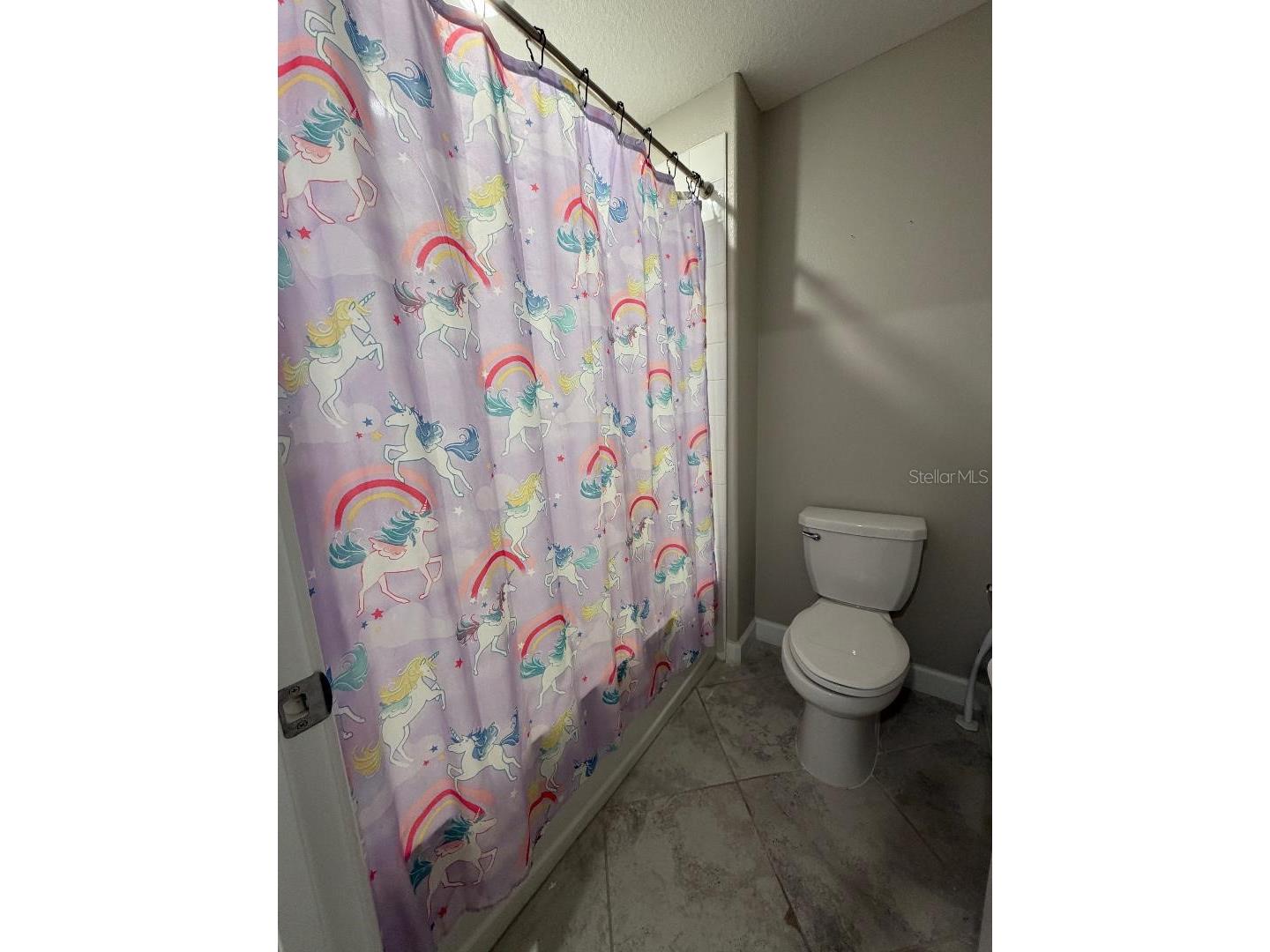 25118 Lambrusco Loop Lutz FL 33559 TB8473036 image20