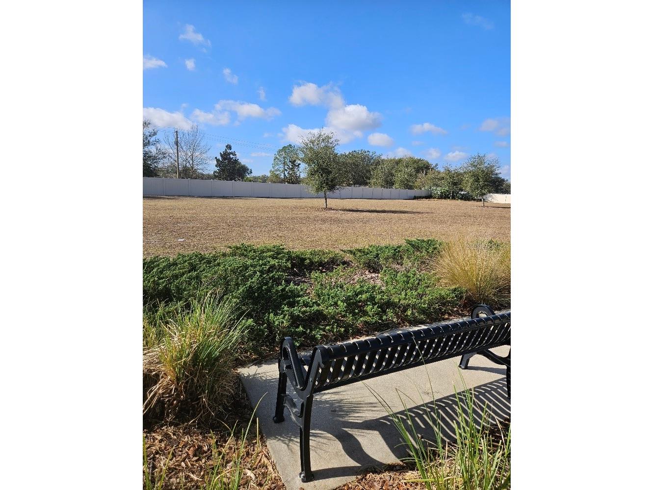 25118 Lambrusco Loop Lutz FL 33559 TB8473036 image28