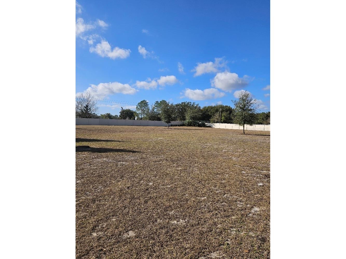 25118 Lambrusco Loop Lutz FL 33559 TB8473036 image29