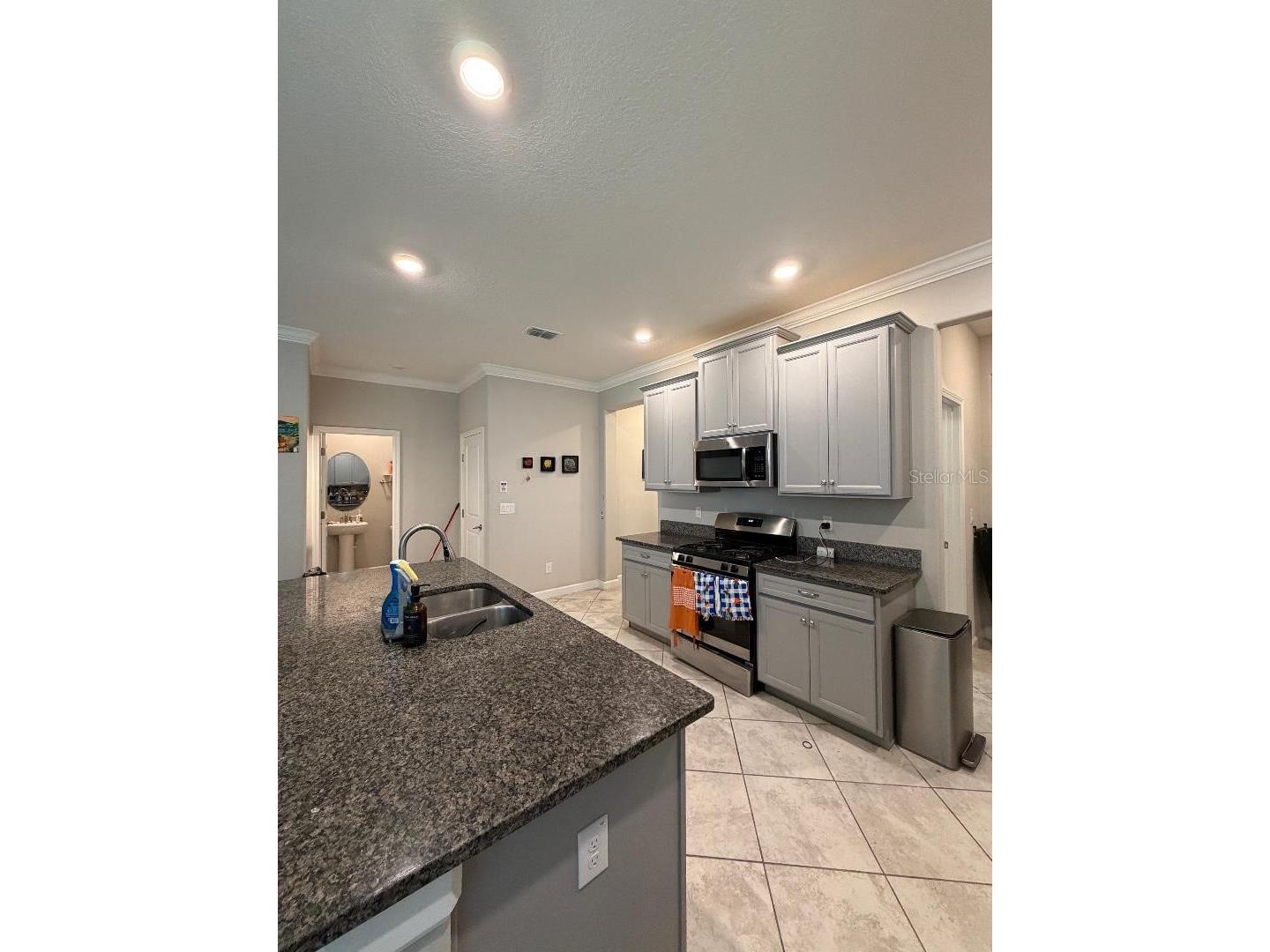 25118 Lambrusco Loop Lutz FL 33559 TB8473036 image4