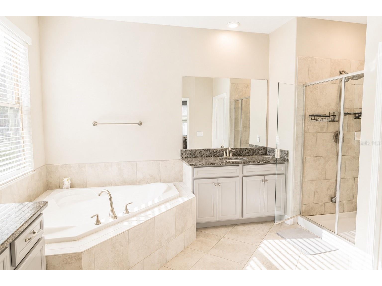 25118 Lambrusco Loop Lutz FL 33559 TB8515992 image2