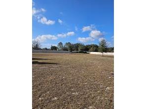 25118 Lambrusco Loop Lutz FL 33559 TB8515992 image26