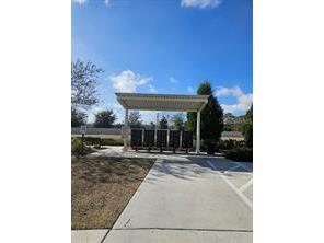 25118 Lambrusco Loop Lutz FL 33559 TB8515992 image28