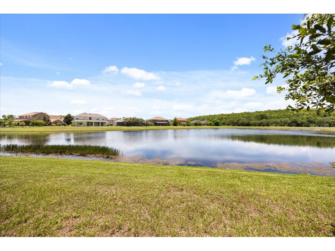 2512 Chapala Drive Kissimmee FL 34746 O6359808 image31