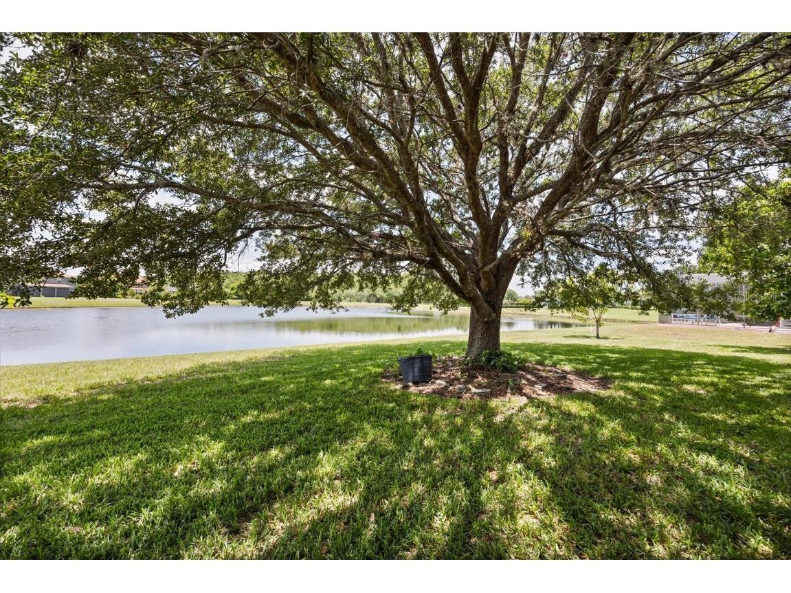 2512 Chapala Drive Kissimmee FL 34746 O6359808 image32