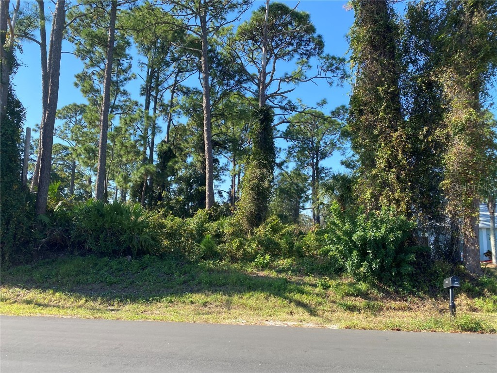 2512 Fern Palm Drive Edgewater FL 32141 NS1086655 image1