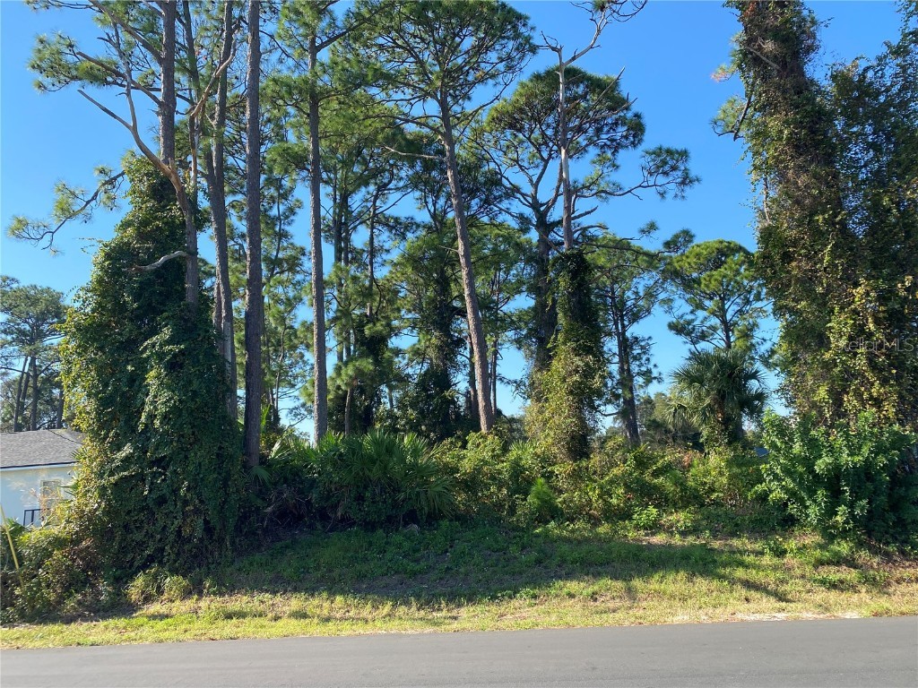 2512 Fern Palm Drive Edgewater FL 32141 NS1086655 image2