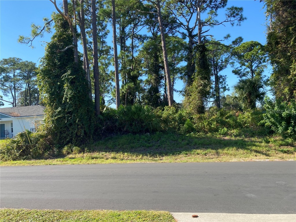 2512 Fern Palm Drive Edgewater FL 32141 NS1086655 image3