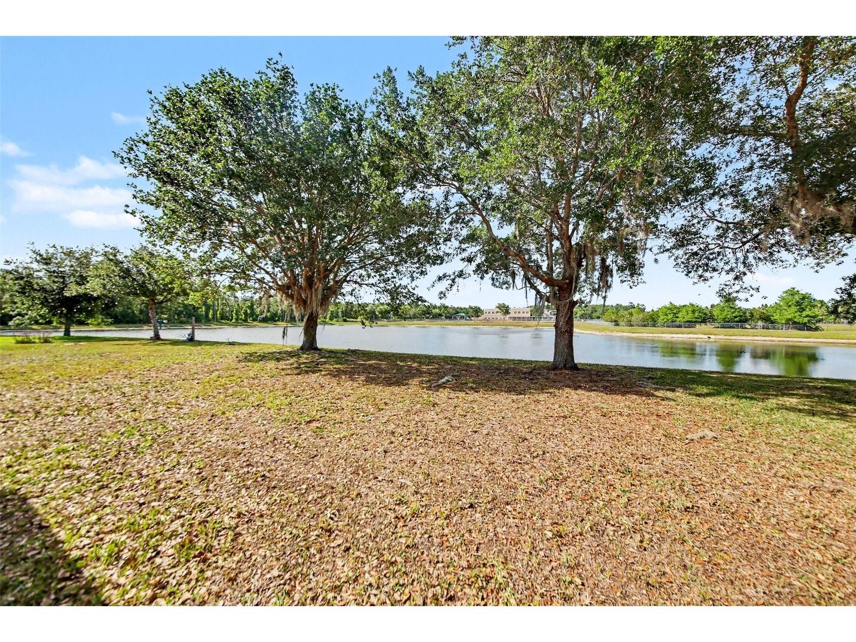 2512 Holly Pine Circle Orlando FL 32820 O6404399 image30