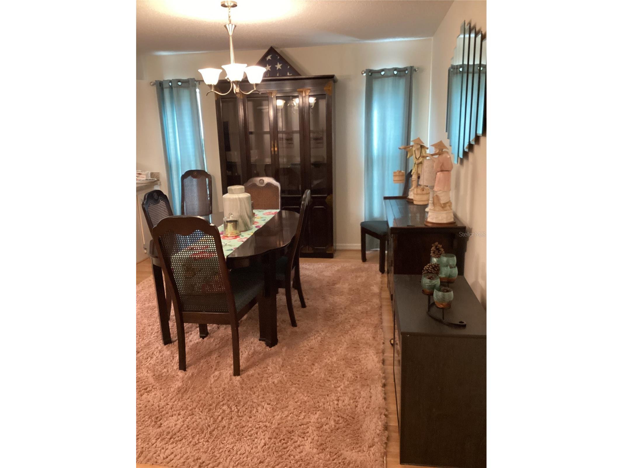 2512 Lancaster Drive #2512 Sun City Center FL 33573 TB8481718 image5