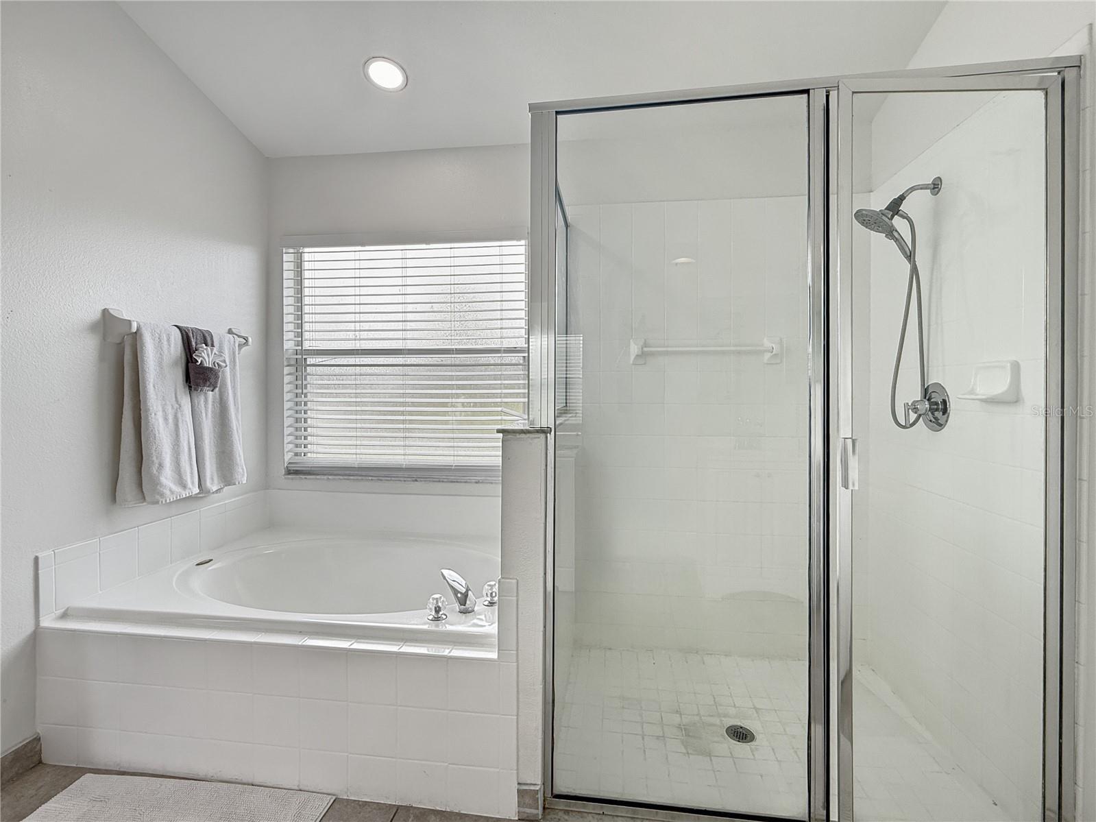 2512 Oneida Loop Kissimmee FL 34747 S5135260 image19