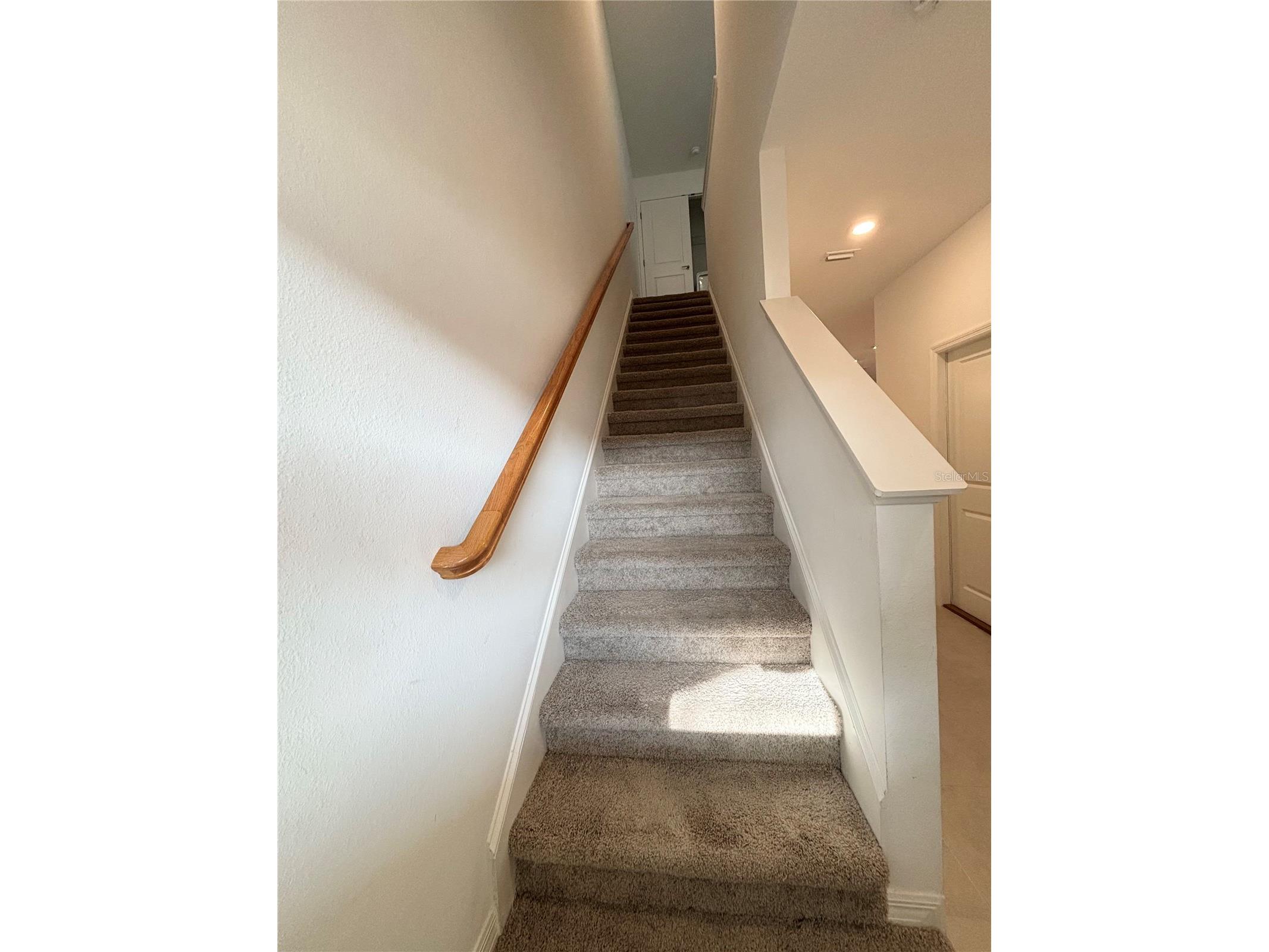 2512 Paravane Way Wesley Chapel FL 33543 TB8487794 image12