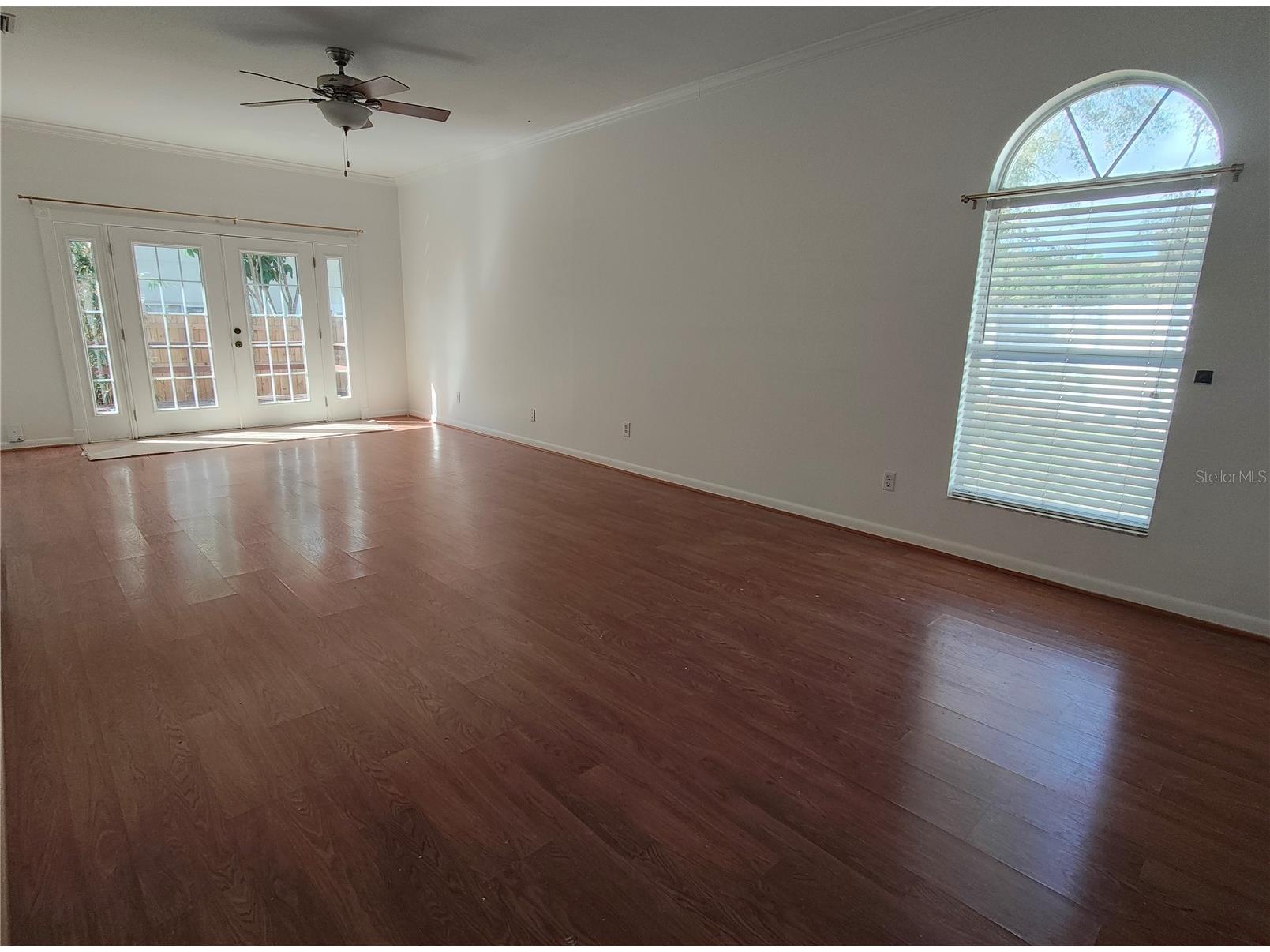 2512 W Texas Avenue #C Tampa FL 33629 TB8484108 image23