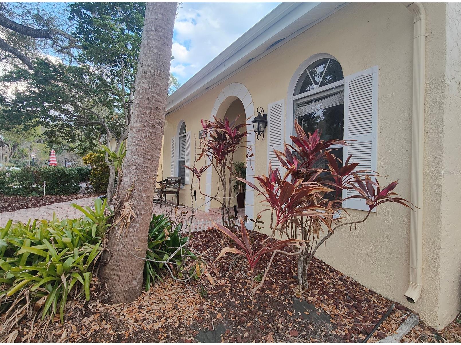 2512 W Texas Avenue #C Tampa FL 33629 TB8484108 image39