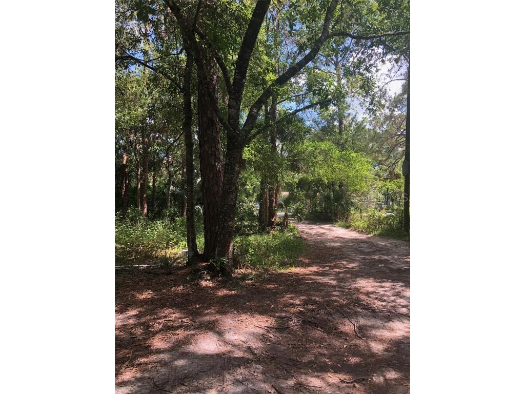 25121 Mathew Street Christmas FL 32709 O6270358 image1