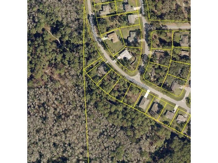 2513 Coachman Drive Deltona FL 32738 O6360491 image5