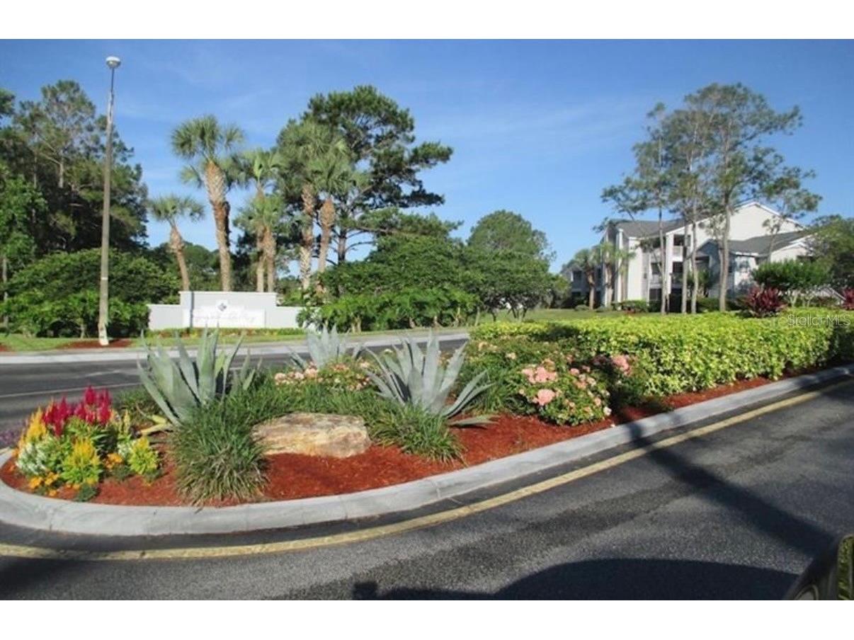 2513 Grassy Point Drive #107 Lake Mary FL 32746 O6382868 image25