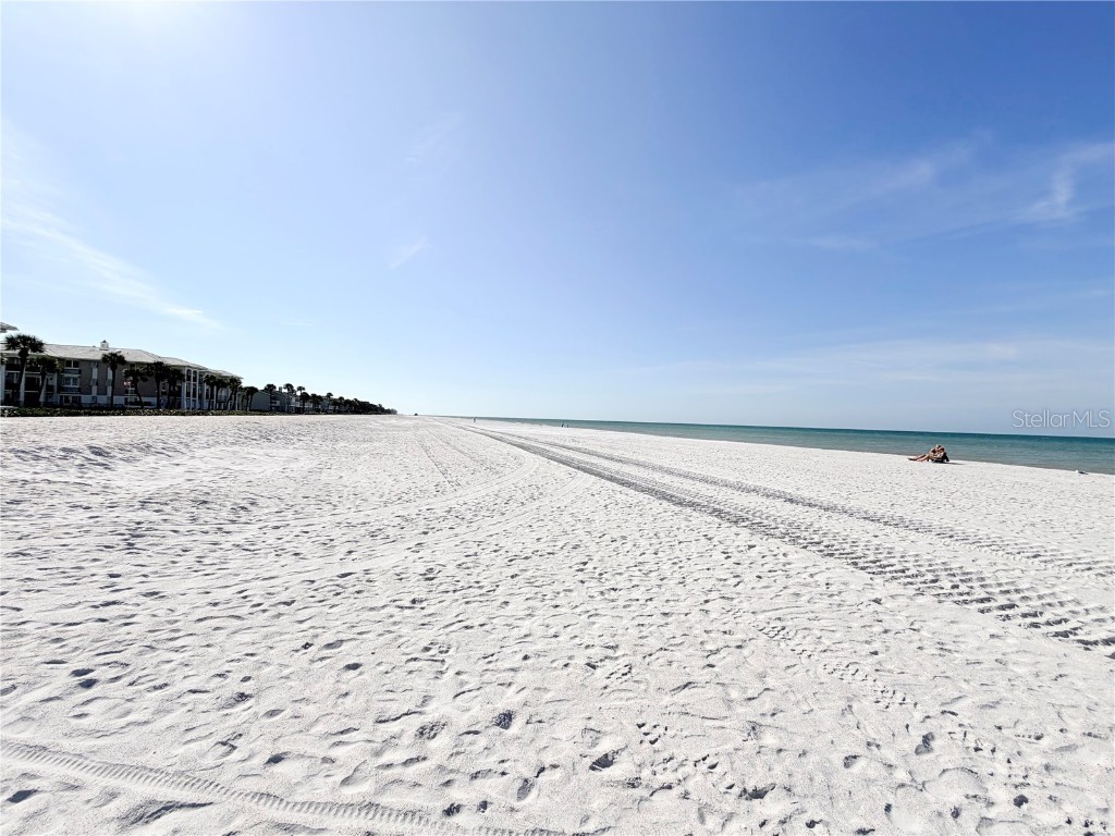 2513 Gulf Boulevard Belleair Beach FL 33786 TB8454675 image30