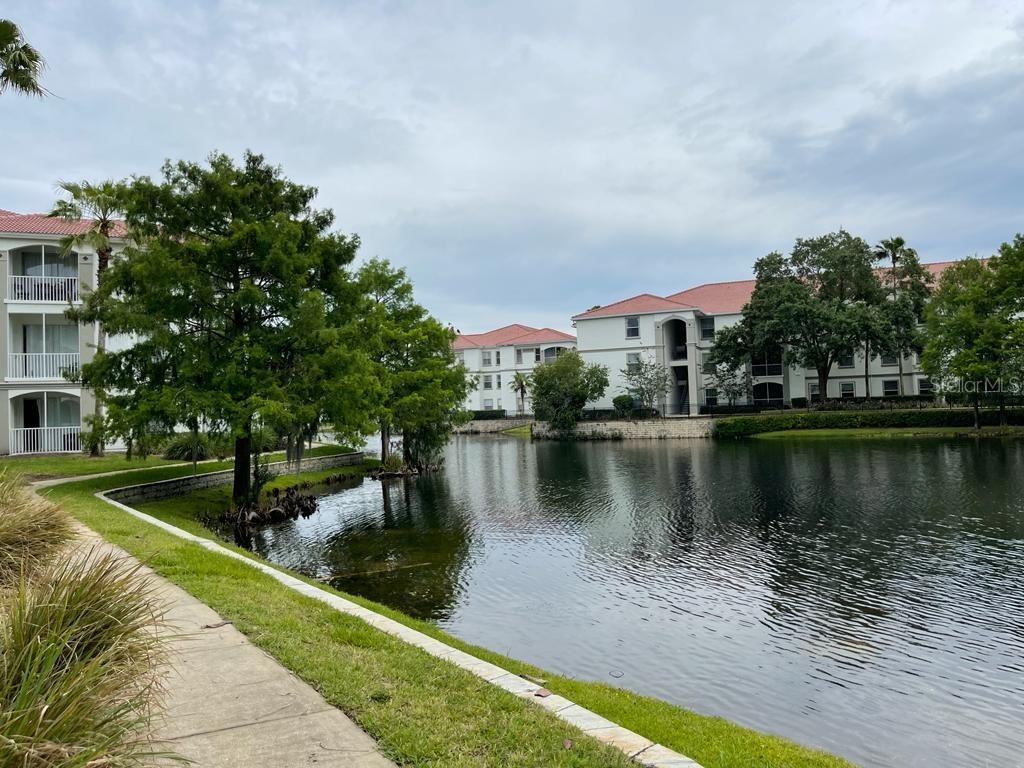2513 Maitland Crossing Way #14102 Orlando FL 32810 O6409907 image20