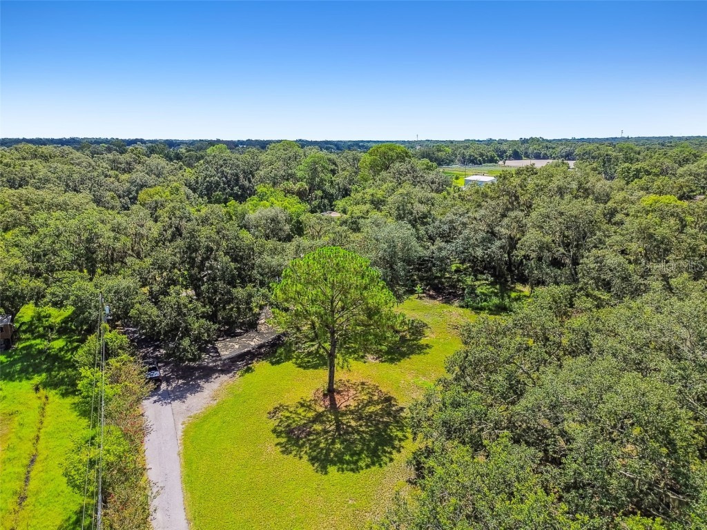 2513 N Valrico Road Seffner FL 33584 TB8417456 image80