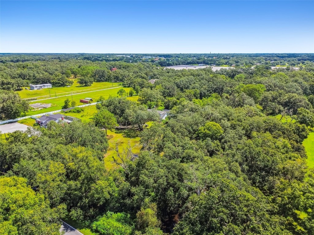 2513 N Valrico Road Seffner FL 33584 TB8417456 image83