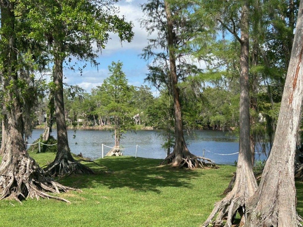 2513 Oakleaf Lane #26C Clearwater FL 33763 TB8372243 image1