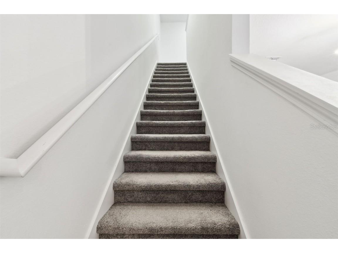 2513 Sunray Venus Way Ruskin FL 33570 TB8444208 image40