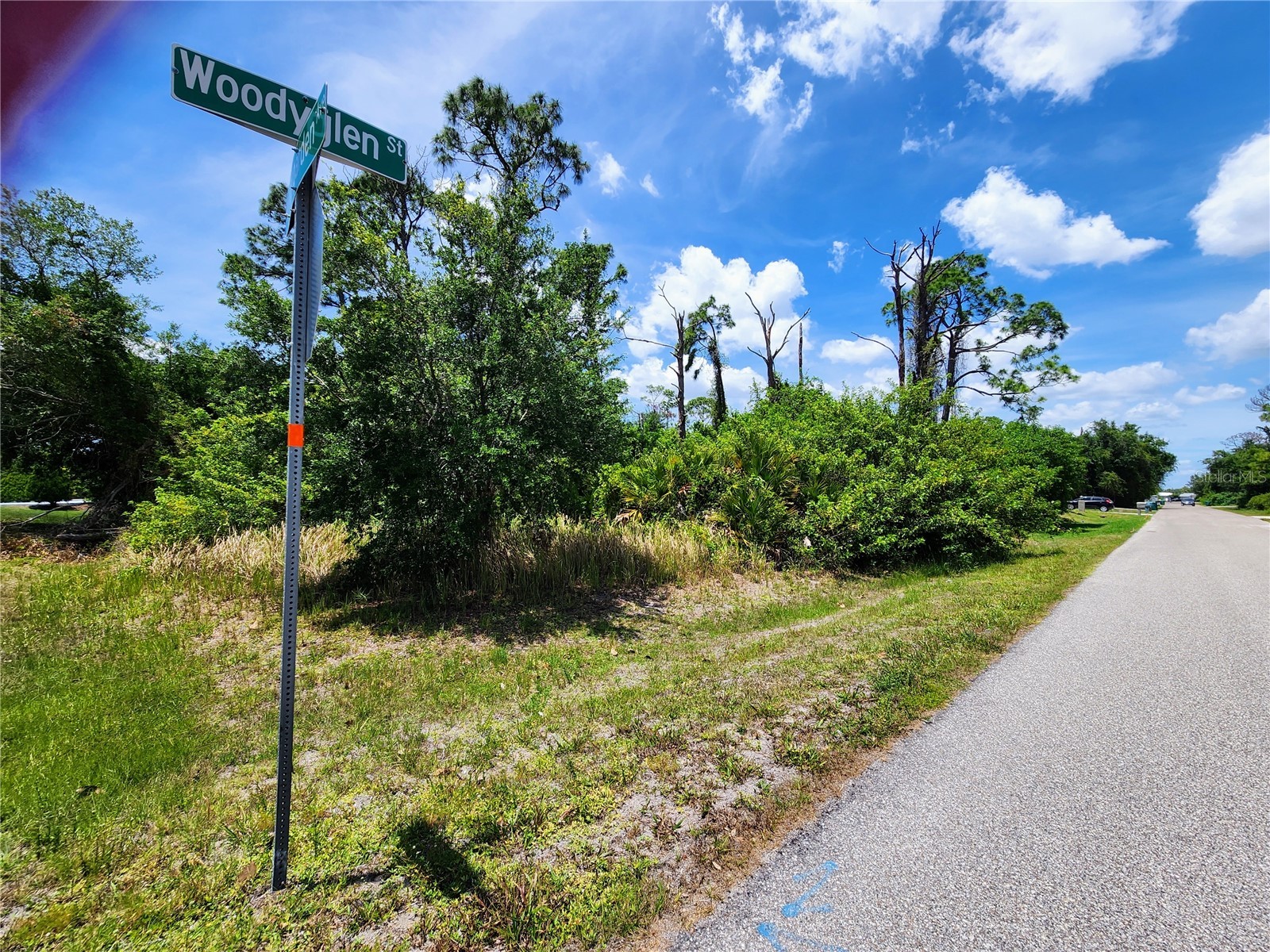 2513 Woodyglen Street Port Charlotte FL 33948 N6144281 image1