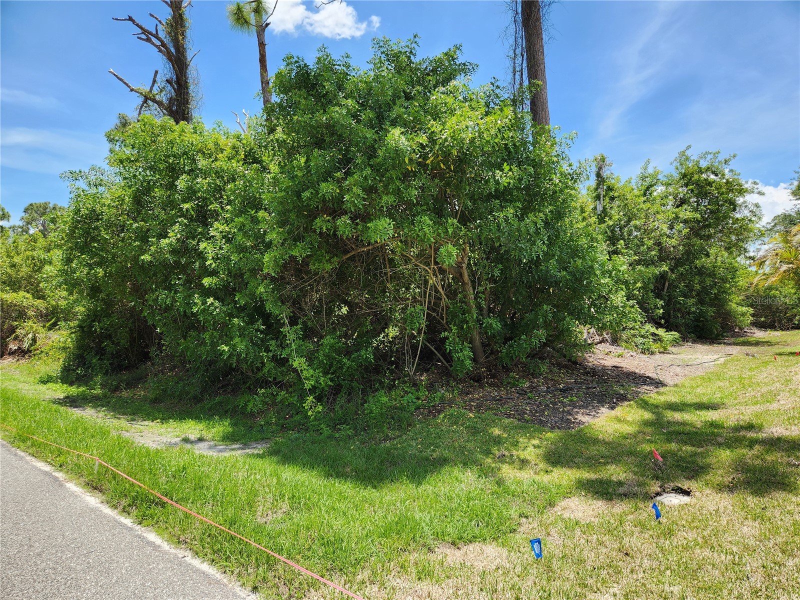 2513 Woodyglen Street Port Charlotte FL 33948 N6144281 image2