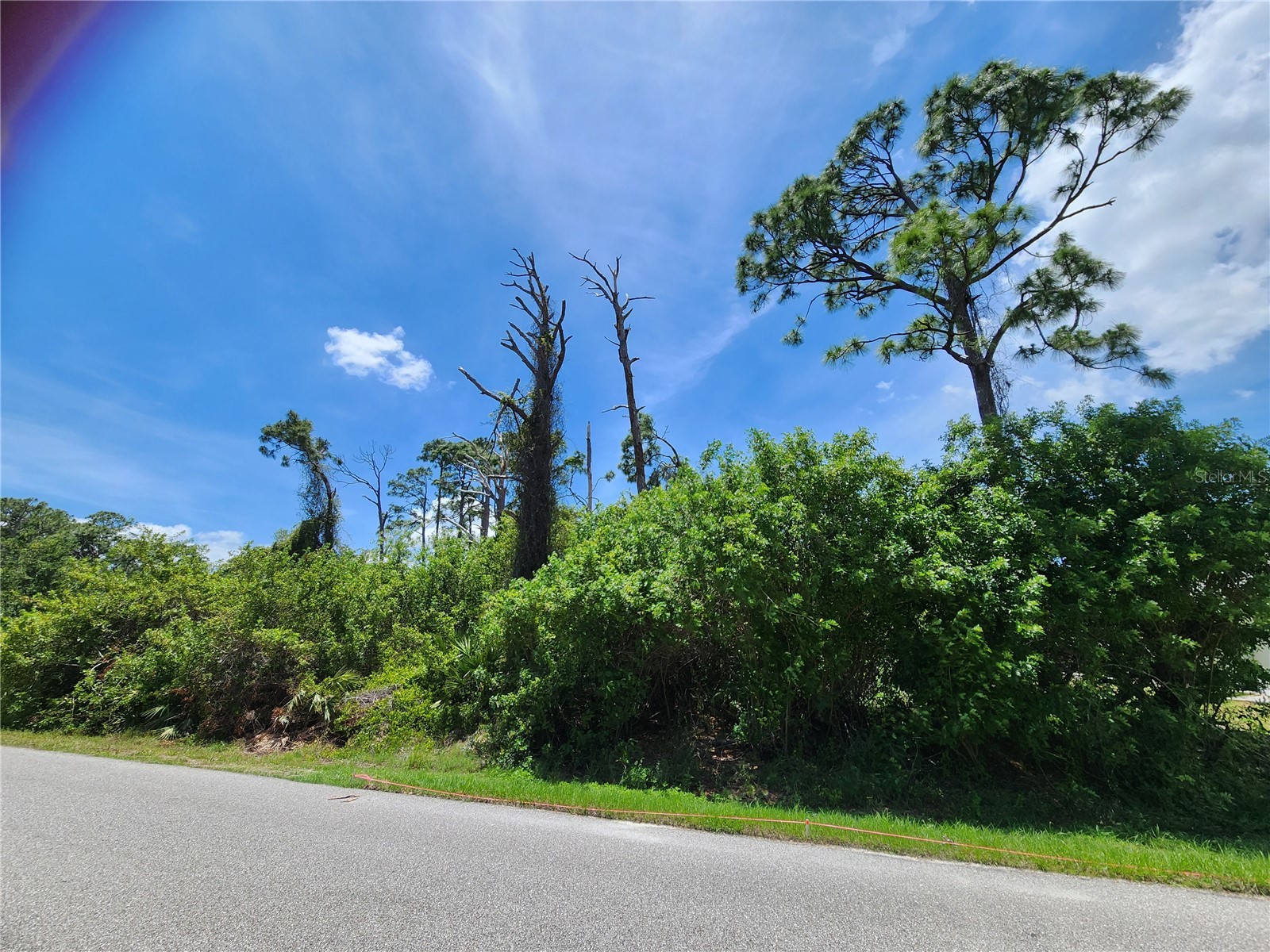 2513 Woodyglen Street Port Charlotte FL 33948 N6144281 image3
